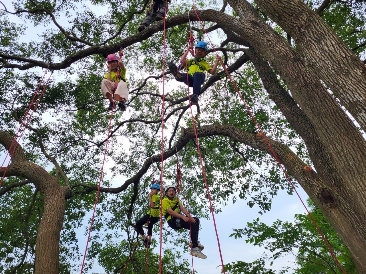 森林遊戲-攀樹活動