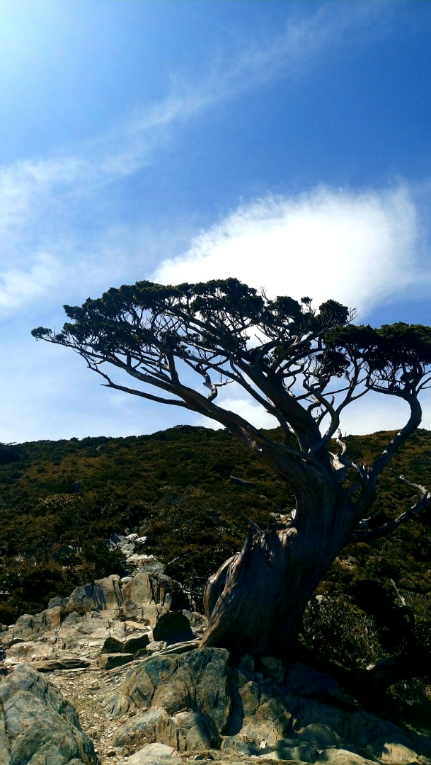 天使的眼淚-嘉明湖