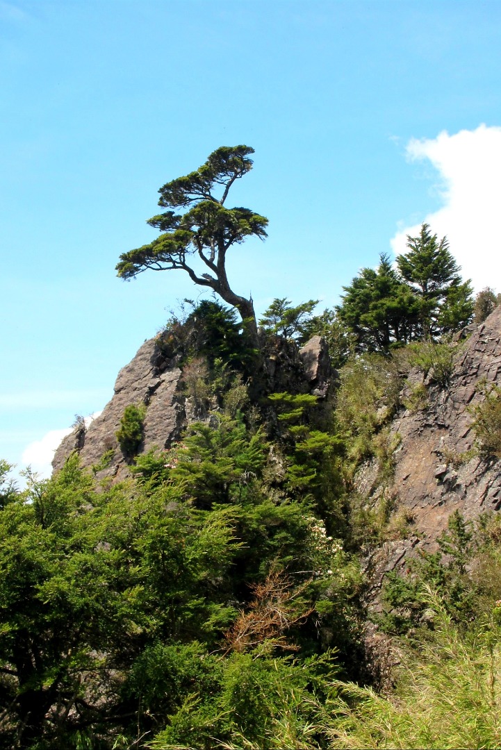 寶島最高峰-玉山