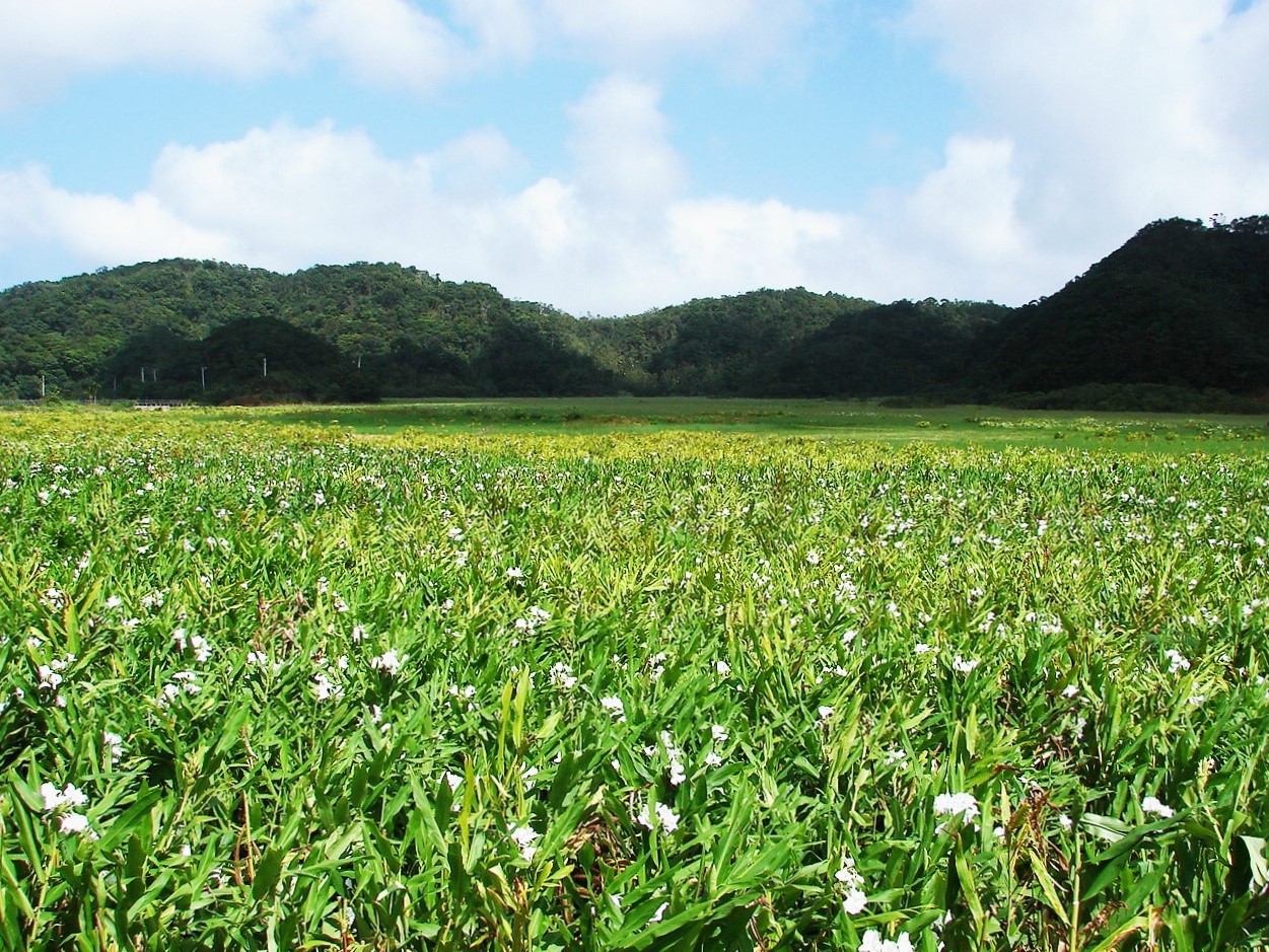 被隱藏的海岸線-阿朗壹古道二日