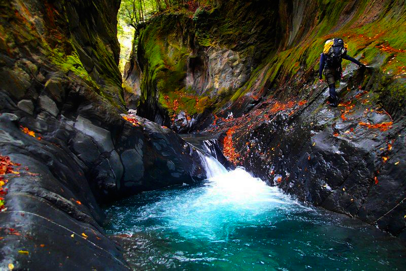 【私人訂製】跟著老司機出門去
