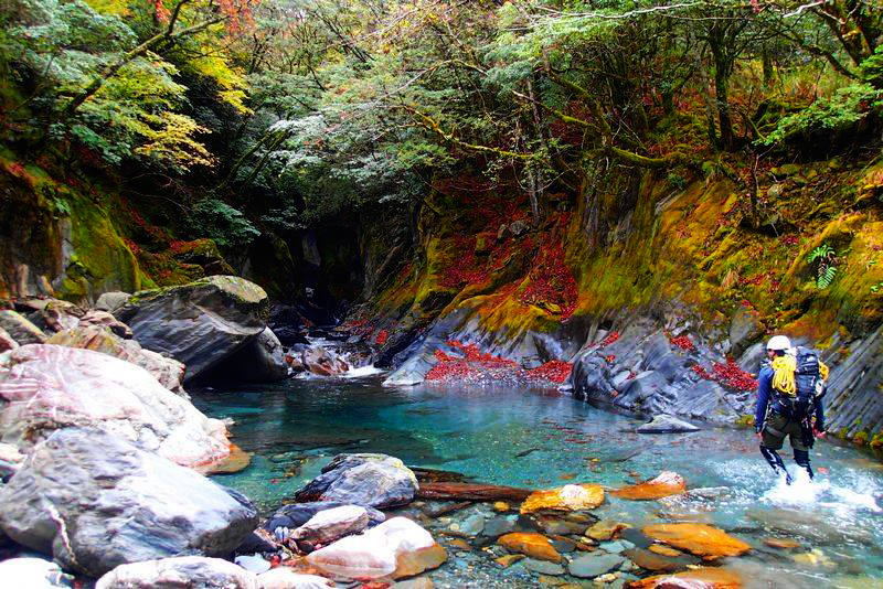 【私人訂製】跟著老司機出門去