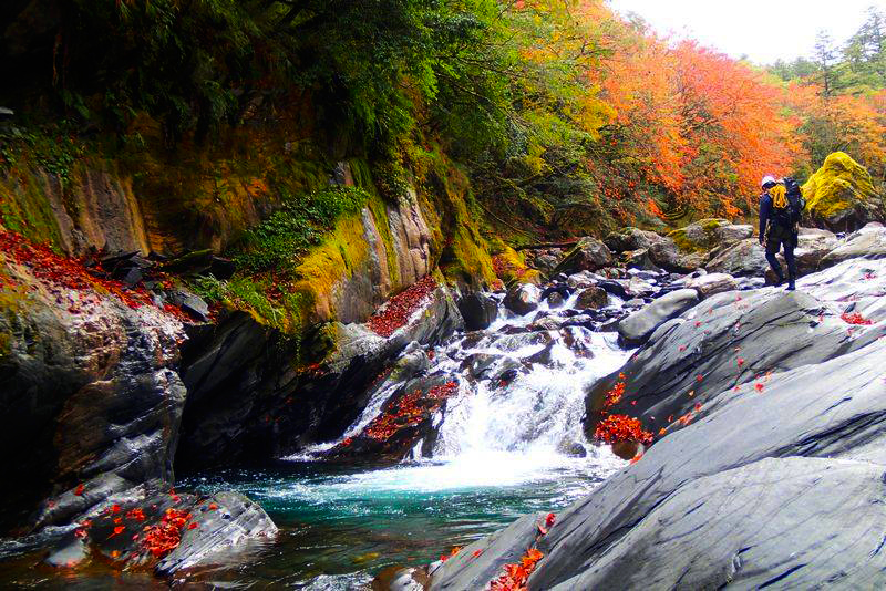 【私人訂製】跟著老司機出門去