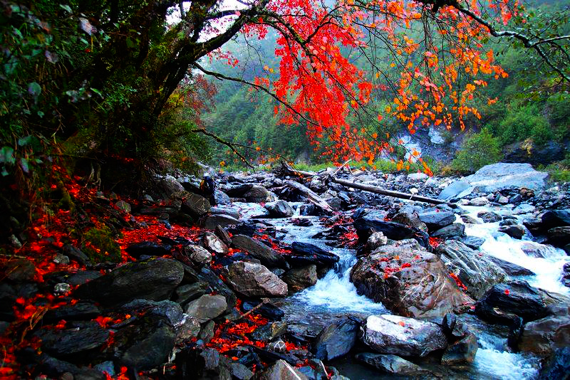 【私人訂製】跟著老司機出門去