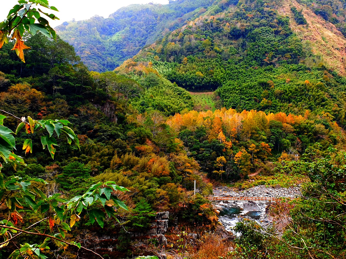新竹秀巒泰崗溪野溪溫泉-【探訪野溪溫泉賞楓】