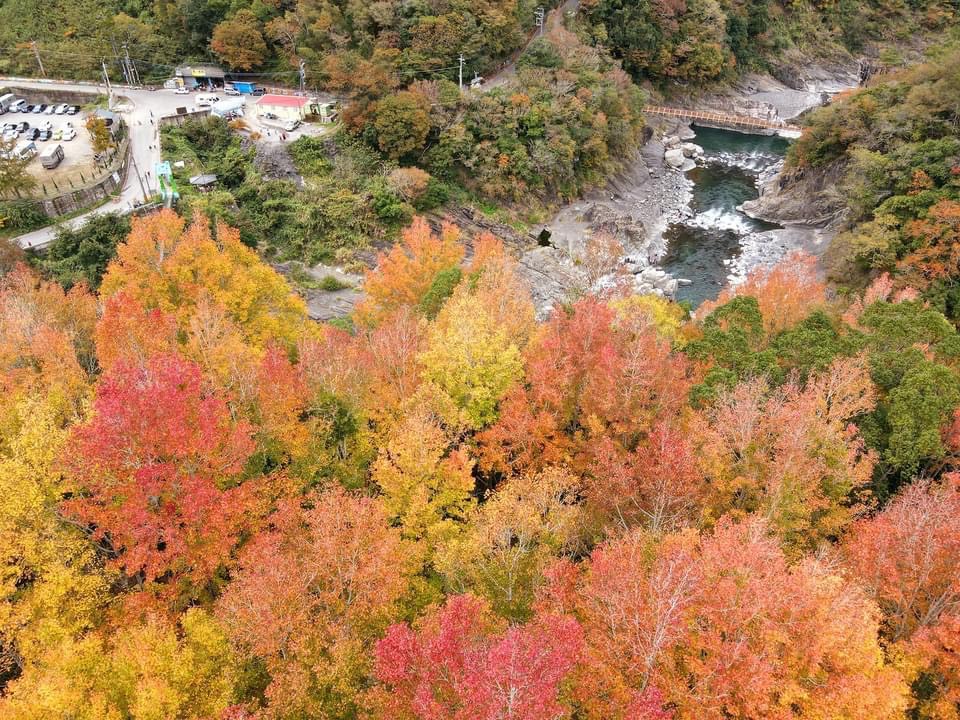 新竹秀巒泰崗溪野溪溫泉-【探訪野溪溫泉賞楓】