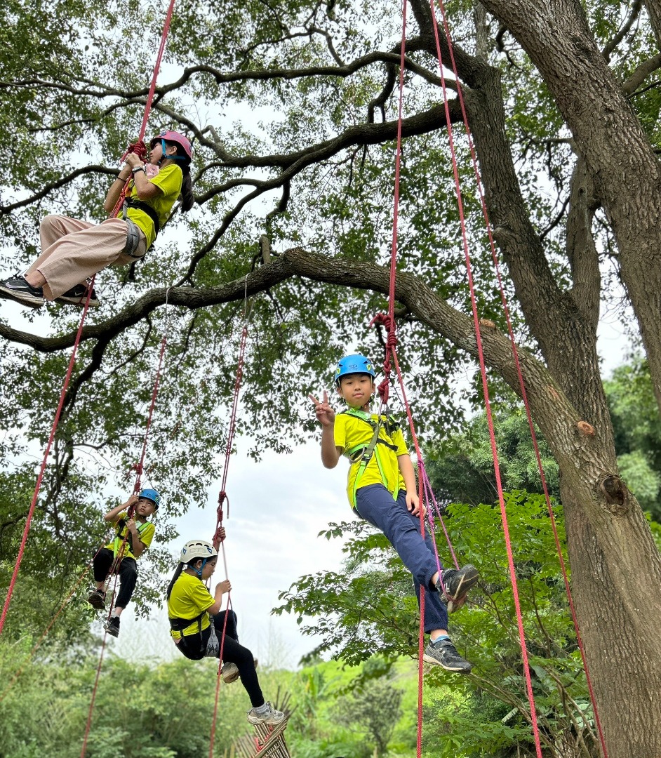 森林遊戲-攀樹活動