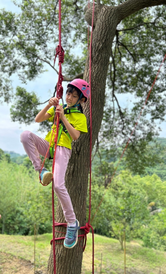 森林遊戲-攀樹活動
