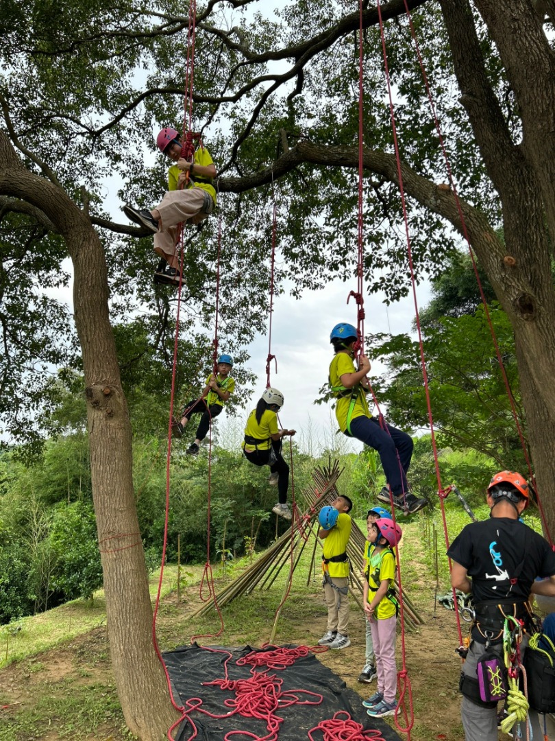 森林遊戲-攀樹活動