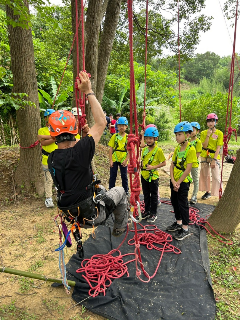 森林遊戲-攀樹活動