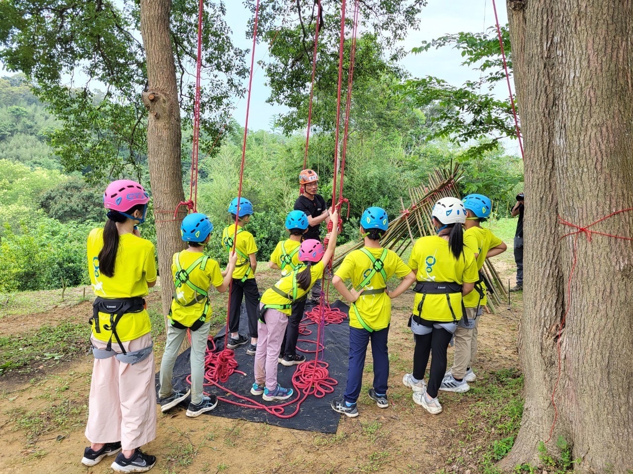 森林遊戲-攀樹活動