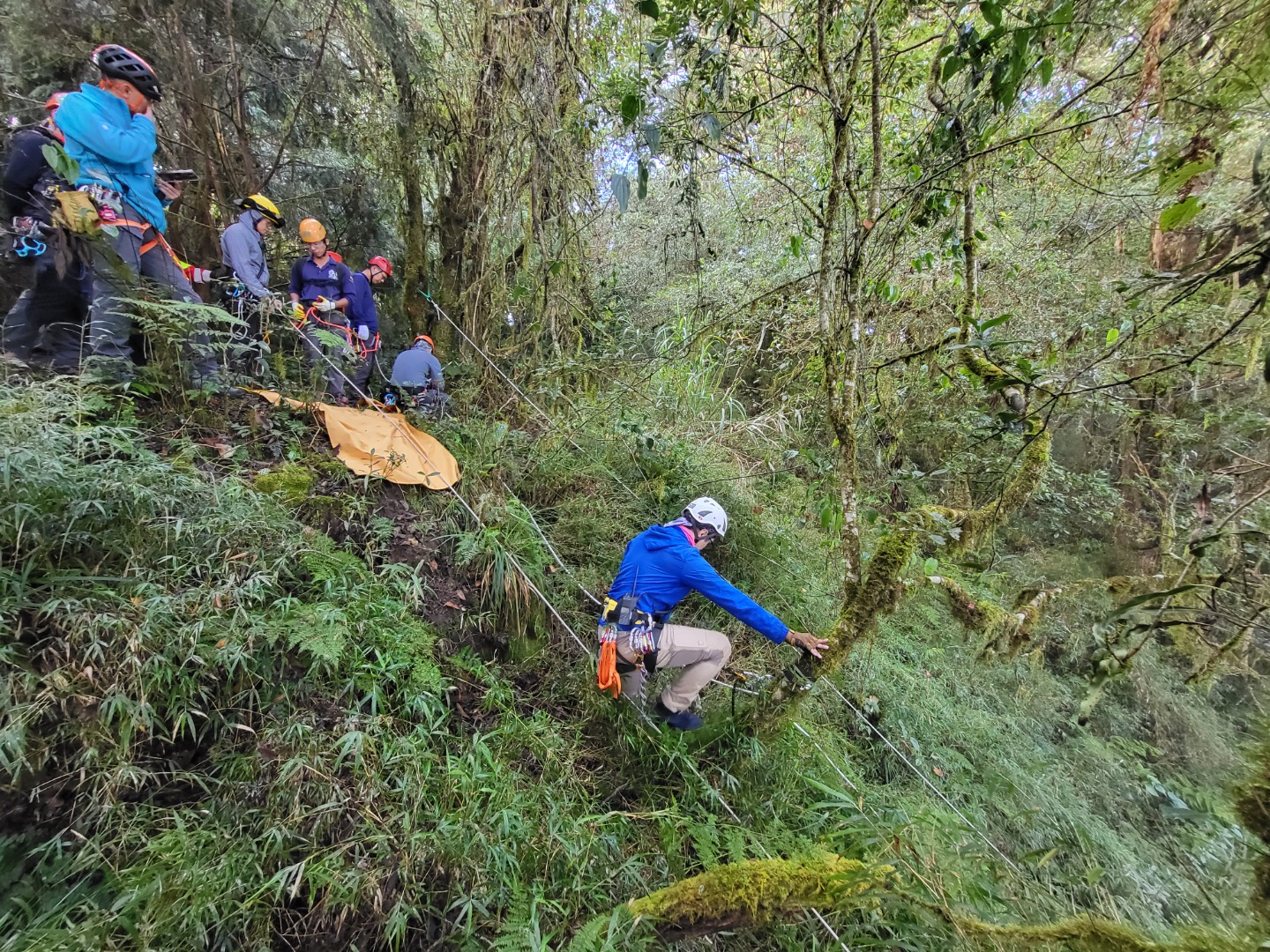 初級山域搜救訓練